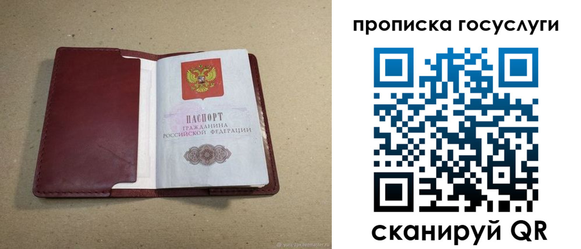 прописка поиск в Североморске